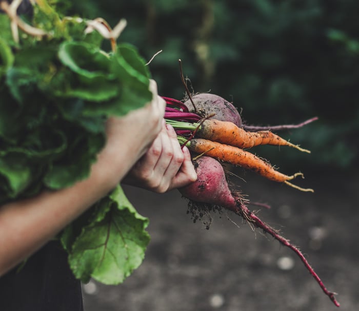 Turnips and Carrots