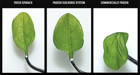 Isochoric Freezing: A New Technology for Food Preservation - IFT.org