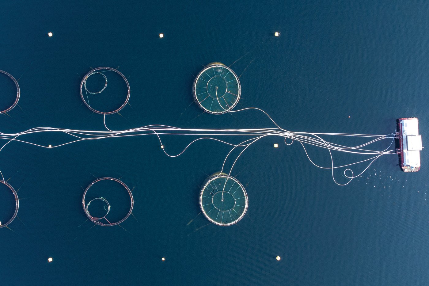 Aerial shot directly above a circular shaped fish farm in sea