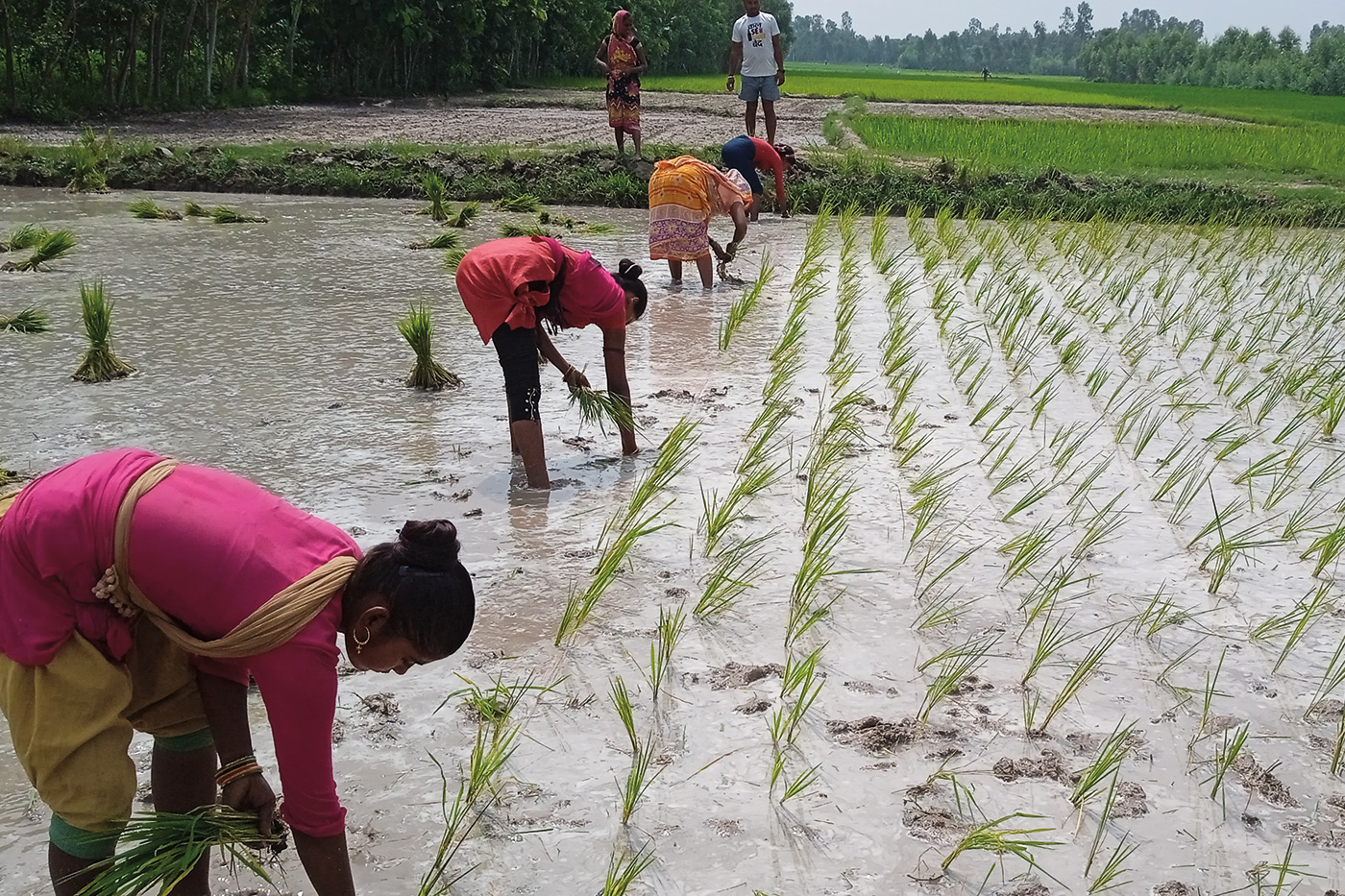 Oorja Development Solutions offers farmers in India access to affordable and reliable irrigation as well as training services.